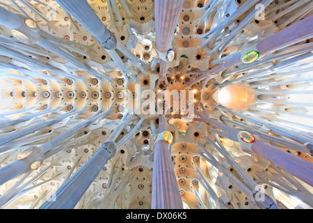 La Sagrada Familia, die Decke der Kathedrale von Gaudi entworfen Stockfoto