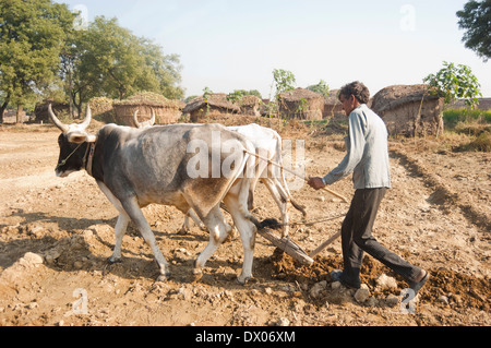 1 indische Bauern Woking in Plowed Feld Stockfoto