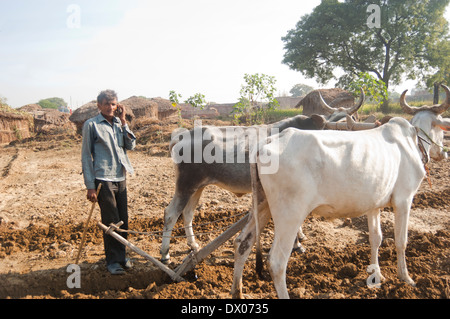 1 indische Bauern Woking in Plowed Feld Stockfoto