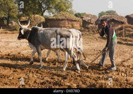 1 indische Bauern Woking in Plowed Feld Stockfoto