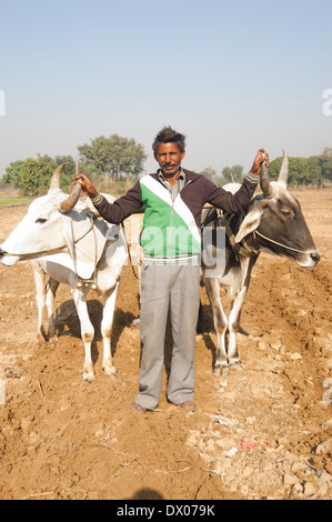 1 indische Bauern Woking in Plowed Feld Stockfoto