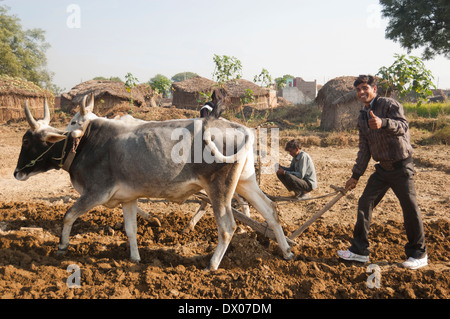 1 indische Bauern Woking in Plowed Feld Stockfoto