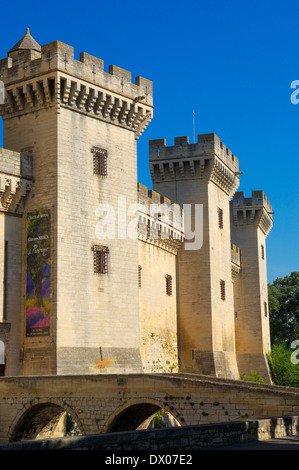 Tarascon Burg Tarascon Stockfoto