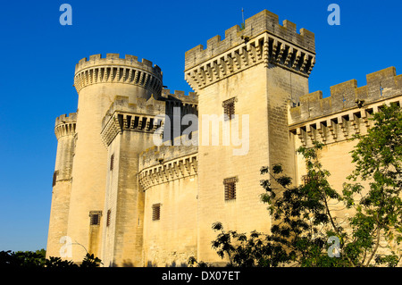 Tarascon Burg Tarascon Stockfoto