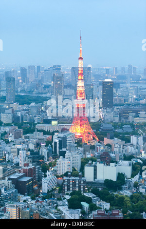 Blick auf die Skyline von Tokio und den Fernsehturm bei Nacht in Japan Stockfoto