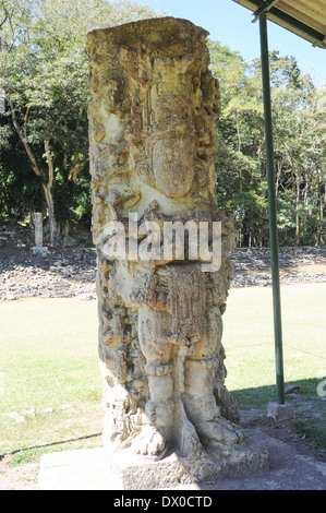 Die Maya-Ruinen von Copán in Honduras Stockfoto