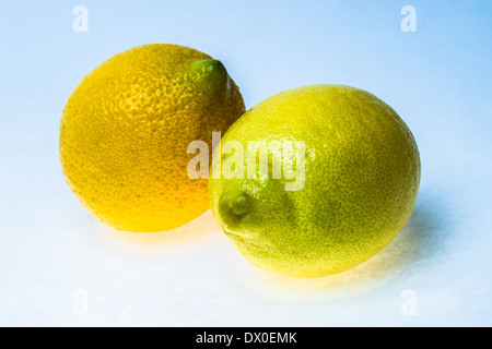 Zwei beleuchtete Zitronen gelb gegen strukturierten weißen und blauen Hintergrund. Gelben, blauen und weißen Farben und Licht. Stockfoto