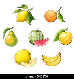 Aquarell set Obst auf weißem Hintergrund Stockfoto