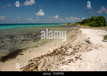 Belize, Karibik, Stann Creek District in der Nähe von Placencia. Laughing Bird Caye Nationalpark befindet sich auf das Belize Barrier Reef. Stockfoto