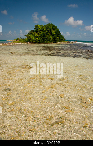 Belize, Karibik, Stann Creek District in der Nähe von Placencia. Laughing Bird Caye Nationalpark Stockfoto