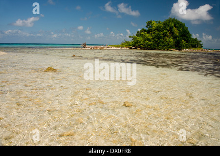 Belize, Karibik, Stann Creek District in der Nähe von Placencia. Laughing Bird Caye Nationalpark. Stockfoto