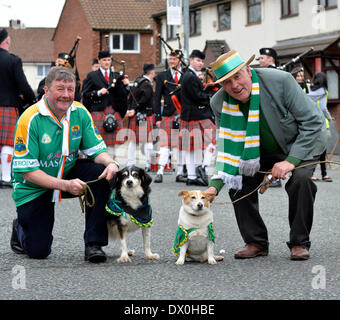 Manchester, UK 16. März 2014 zwei Iren und ihre Hunde stellen vor die Parade von The Irish Heritage Centre in North Manchester in die Stadt gerade im Zentrum und zurück.  St. Patricks Day Parade, Manchester. Stockfoto