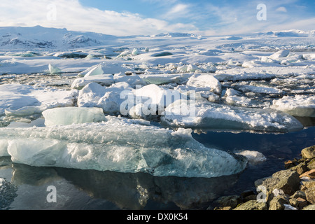 Eisberge vollgestopft in die Steckdose der Gletscherlagune Jökulsárlón mit Breidamerkurjokull Gletscher hinter an einem sonnigen Tag in Island Stockfoto