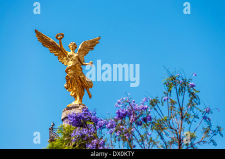 Goldene farbige Engel der Unabhängigkeit in Mexiko-Stadt Stockfoto