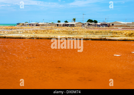 Rote Salz Pool von einem Slum in Manaura, Kolumbien Stockfoto