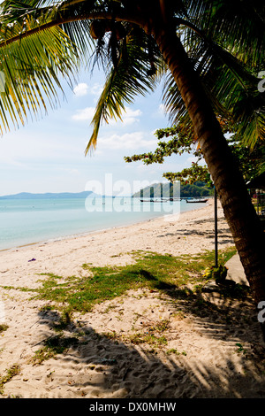 Strand in der Nähe von Chao Ley auf Ko Diray, Phuket Thailand Stockfoto