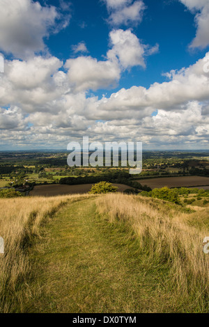 Blick auf die Sussex Weald von Rackham Hügel in den South Downs National Park in West Sussex. Stockfoto