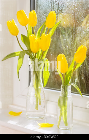 Leuchtend gelbe Tulpen in Vintage Glasflaschen im Fenster Stockfoto