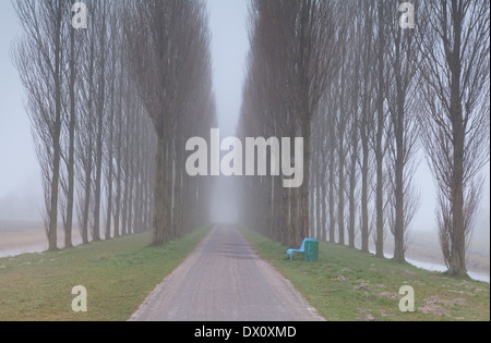 Bank und Tunnel zwischen den Bäumen im dichten Nebel Stockfoto