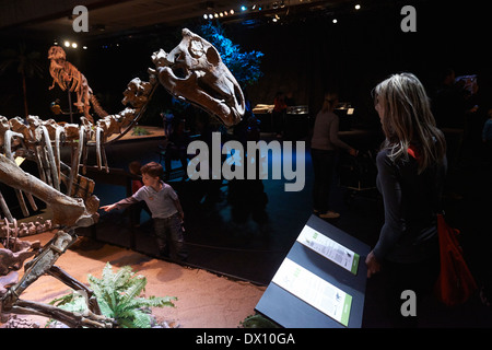 Dinosaurier im Museum, Ausstellung, Dinosaurium Prag Stockfoto