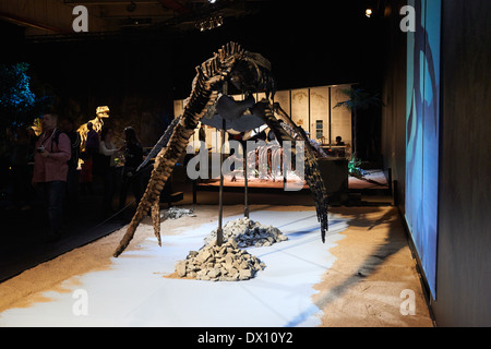 Dinosaurier im Museum, Ausstellung, Dinosaurium Prag Stockfoto