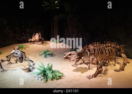 Dinosaurier im Museum, Ausstellung, Dinosaurium Prag Stockfoto