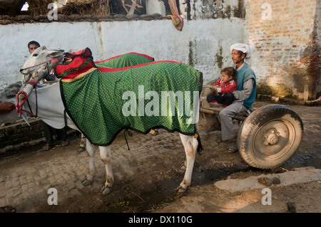 Indischen Bauern stehen mit Stier Stockfoto