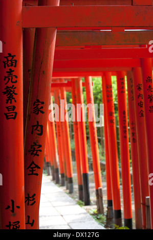 Torii-Tore im Nezu Schrein in Nezu, Tokyo, Japan Stockfoto