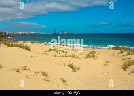 Strand von Playa Blanca, Puerto del Rosaro, Fuerteventura, Kanarische Inseln, Spanien, Europa Stockfoto