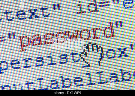 digitalen Hand fangen Passwort in ein HTML-Formular auf LCD-Bildschirm Stockfoto
