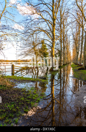 Überschwemmungen auf dem Feld und Weg bei Arundel, West Sussex, UK Stockfoto