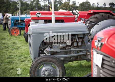 Oldtimer Traktoren auf anzeigen, um die Öffentlichkeit auf den Holm Show veranstaltet eine jährliche landwirtschaftliche Veranstaltung in Newcastleton, Schottland. Stockfoto