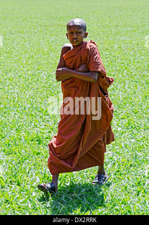 KANDY, SRI LANKA - Dez 08: junge buddhistischer Mönch, Kandy, Sri Lanka, 8. Dezember 2011 Stockfoto