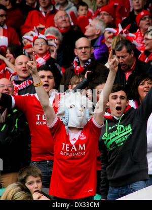 Glasgow, Schottland. 16. März 2014. Aberdeen-Anhänger der schottischen Liga-Cup-Finale zwischen FC Aberdeen und Inverness Caledonian Thistle FC im Celtic Park zu genießen. Aberdeen gewann 4: 2 im Elfmeterschießen. Bildnachweis: Aktion Plus Sport/Alamy Live-Nachrichten Stockfoto