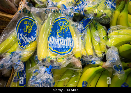 Marke-Chiquita-Bananen sind in einem Supermarkt in New York gesehen. Stockfoto