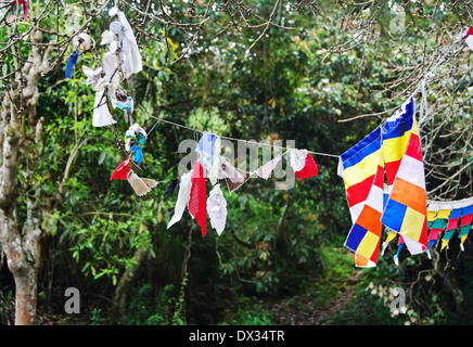 Gebetsfahnen auf Baum in der Nähe von Dhowa alten Rock Temple (buddhistisches Kloster), Ella Bereich, Sri Lanka Stockfoto