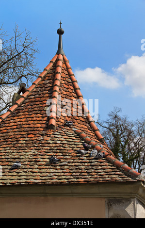 Tauben sitzen auf dem Dach des mittelalterlichen Gebäudes, Rothenburg, Deutschland Stockfoto