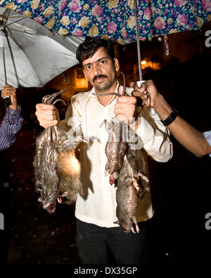 eine Nacht fangen von Ratten zählt die Stationen 4 Nacht Ratte Mörder müssen ein Minimum von 30 Ratten in der Reihenfolge wie sie bekannt sind töten Stockfoto