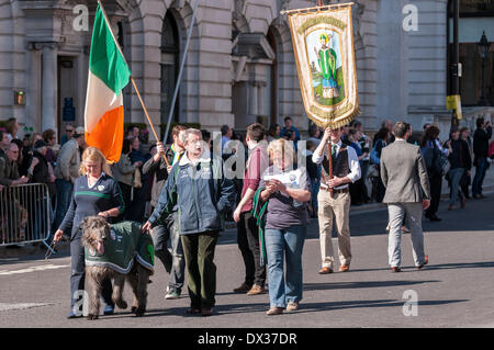 Waterloo Place, London, UK, 16. März 2014 - die jährliche St. Patricks Day Parade fand bei strahlendem Sonnenschein vor Tausenden von Menschen, die die Route gesäumt.  Die Parade wurde von einem Irish Wolfhound geführt. Bildnachweis: Stephen Chung/Alamy Live-Nachrichten Stockfoto