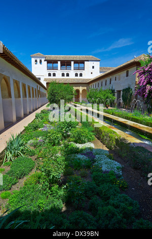 Gericht des Main-Kanals in den maurischen Gärten Generalife niedriger, Alhambra. Granada, Andalusien, Spanien. Stockfoto