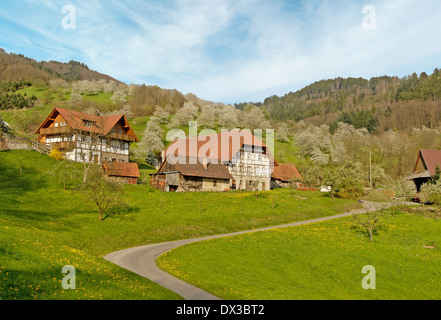 Schwarzwald-Dorf im Frühjahr Stockfoto