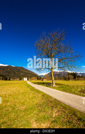 Bergstraße mit einem Baum und eine Bank für eine ruhige Erholung in einem warmen Frühlingstag. die Berge sind die italienischen Dolomiti Stockfoto