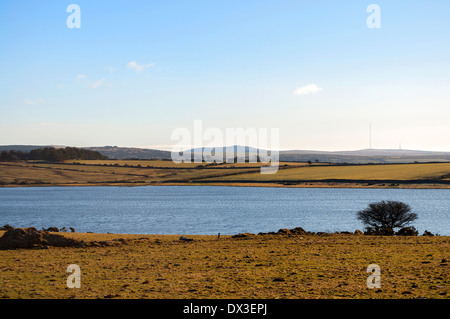 Dozmary Pool auf Bodmin Moor in Cornwall, Großbritannien Stockfoto