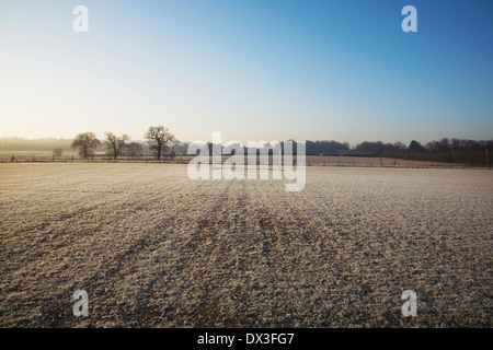 empty football pitch and goal on a frosty winter morning sunrise Stockfoto