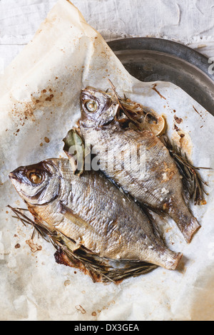 Ansicht von oben auf zwei gegrillte Fische Brassen mit Rosmarin auf Backpapier serviert. Stockfoto