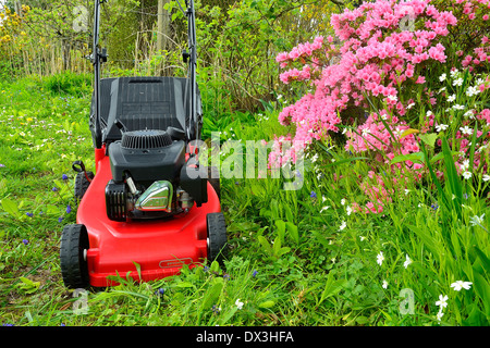 Rasenmäher in einem Garten in der Nähe von Azalea Japonica (Mayenne, Land der Loire, Frankreich). Stockfoto