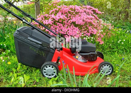 Rasenmäher in einem Garten in der Nähe von Azalea Japonica (Mayenne, Land der Loire, Frankreich). Stockfoto