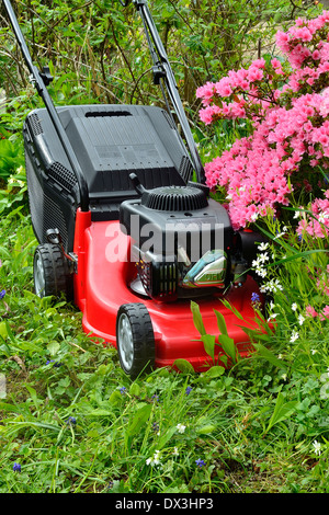 Rasenmäher in einem Garten in der Nähe von Azalea Japonica (Mayenne, Land der Loire, Frankreich). Stockfoto