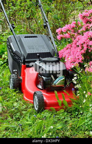 Rasenmäher in einem Garten in der Nähe von Azalea Japonica (Mayenne, Land der Loire, Frankreich). Stockfoto