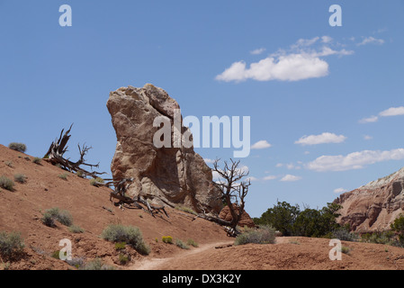 Schmalen Pfad im Kodachrome Basin State Park, Utah Stockfoto